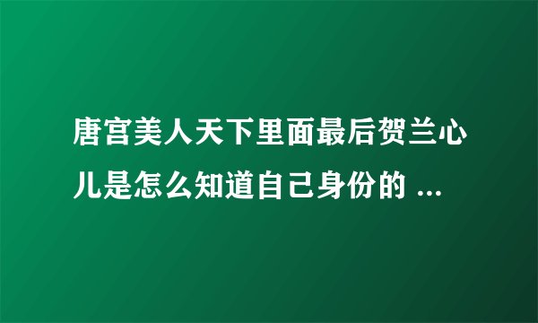 唐宫美人天下里面最后贺兰心儿是怎么知道自己身份的 皇后娘娘又是怎么知道的？