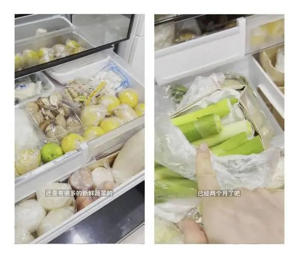 上海女子晒隔离34天后的冰箱,花6分钟才数完物资,她为何能有先见之明?