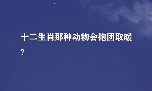 十二生肖那种动物会抱团取暖?
