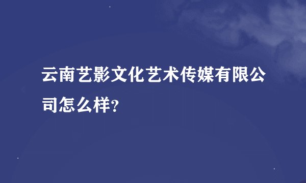 云南艺影文化艺术传媒有限公司怎么样？