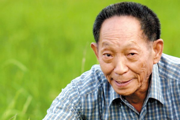 袁隆平的事迹简短