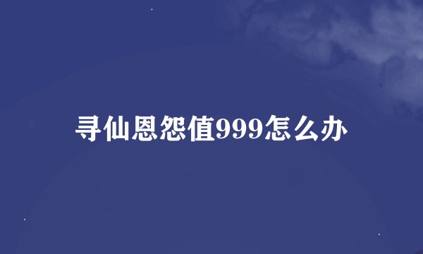 寻仙恩怨值999怎么办