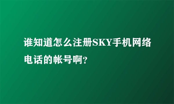 谁知道怎么注册SKY手机网络电话的帐号啊？