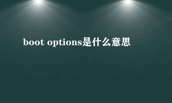 boot options是什么意思