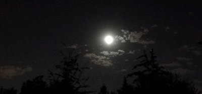 上联：清风明月夜，怎样对出下联？