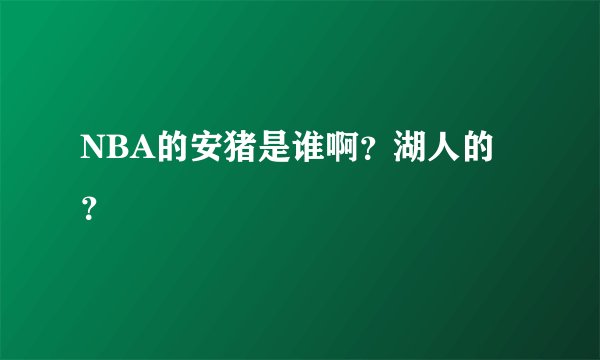 NBA的安猪是谁啊？湖人的？
