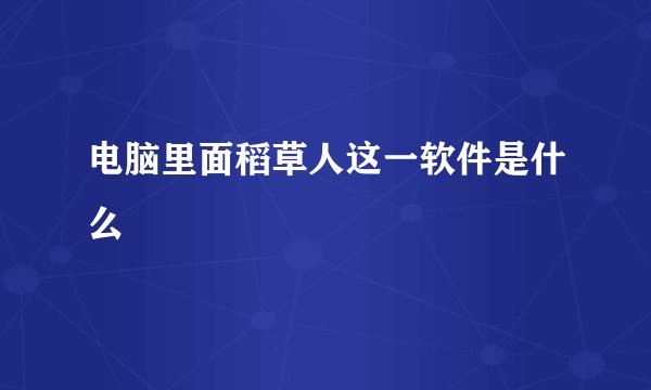 电脑里面稻草人这一软件是什么