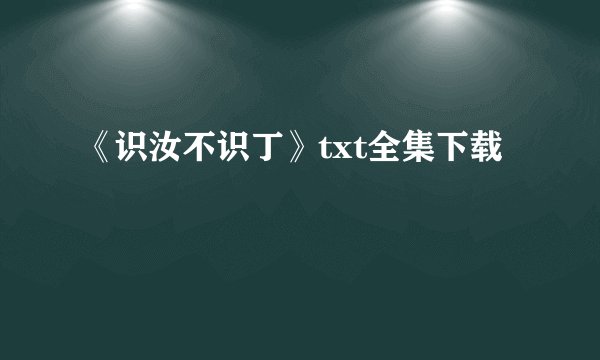 《识汝不识丁》txt全集下载