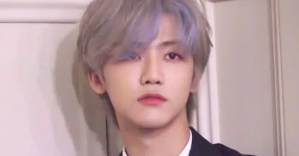 nct中国成员有谁