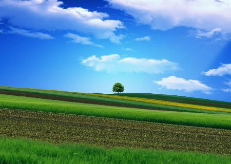 美的感官手套发售，美的为何会向手套行业进军？