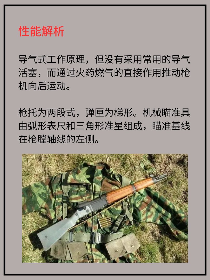 MAS-49半自动步枪[法]