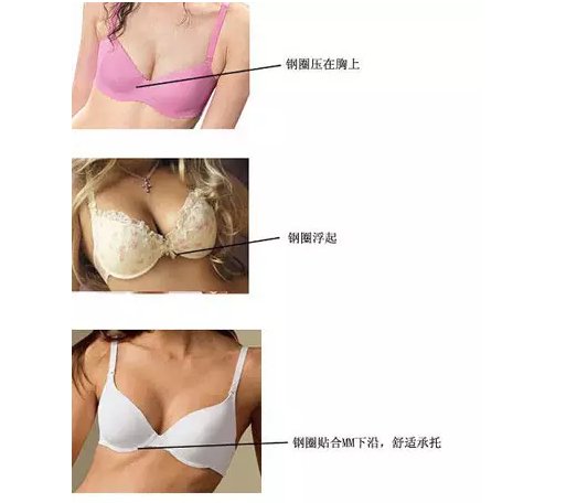 文胸的罩杯如何选择
