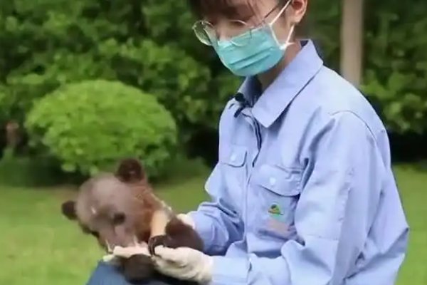 上海300名员工和动物一起隔离60天,他们是怎么度过这些天的?