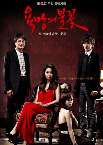 欲望的火花剧情分集介绍