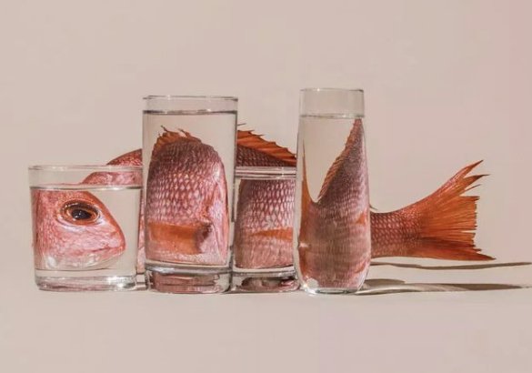 杯中之物的意思是什么解释