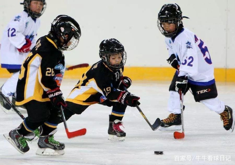 同为北美四大运动的冰球，为什么赛场上很少有黑人？