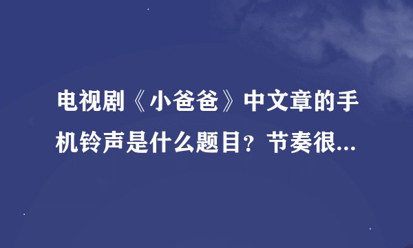 电视剧《小爸爸》中文章的手机铃声是什么题目？节奏很快的那个