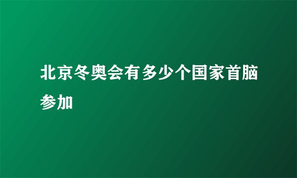 北京冬奥会有多少个国家首脑参加