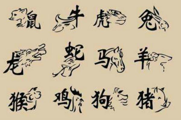 粗心大意指最佳一生肖