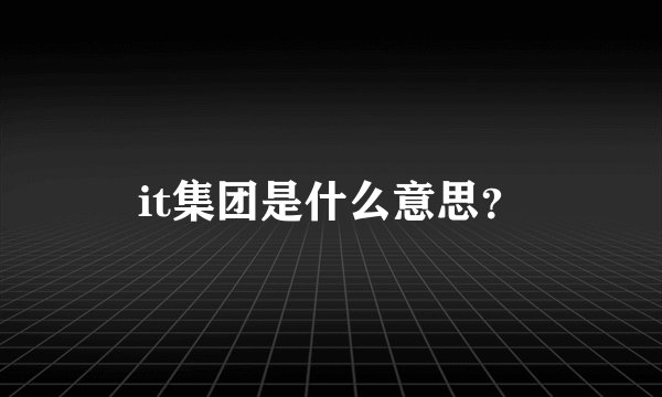it集团是什么意思？