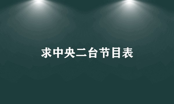 求中央二台节目表