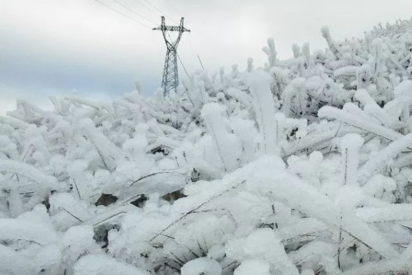 哈尔滨暴雪过后又来冻雨，当地的受灾情况如何？