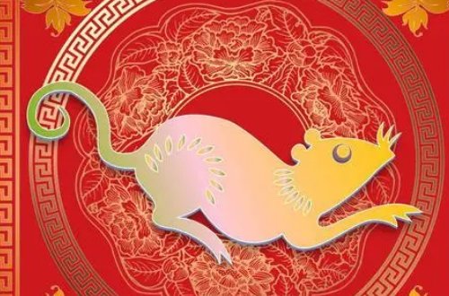 志同道合指什么生肖动物