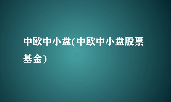 中欧中小盘(中欧中小盘股票基金)