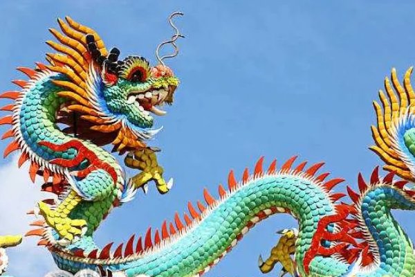 银蛇狂舞什么动物