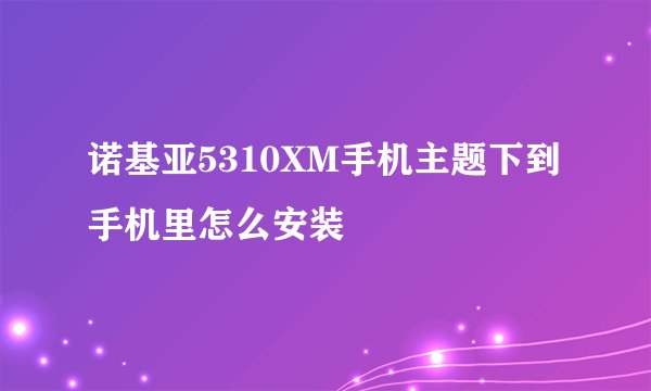 诺基亚5310XM手机主题下到手机里怎么安装