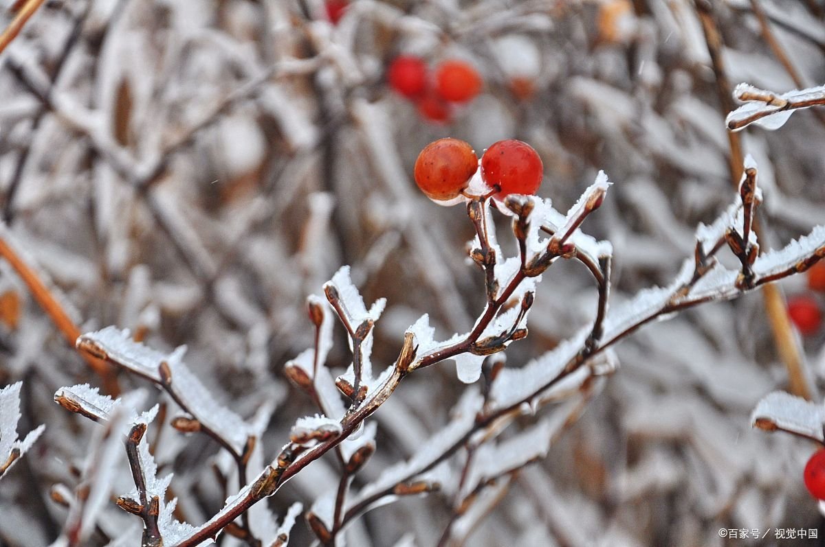 第四次全国性寒潮要来了，我们应该做好哪些防护？