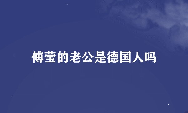 傅莹的老公是德国人吗