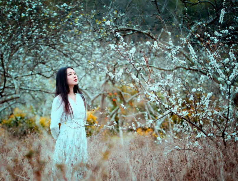 用甘愿写一句话