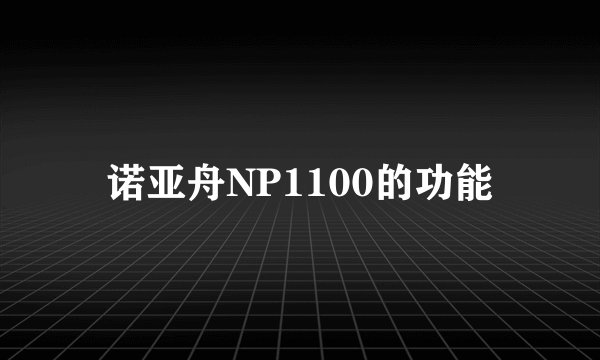 诺亚舟NP1100的功能