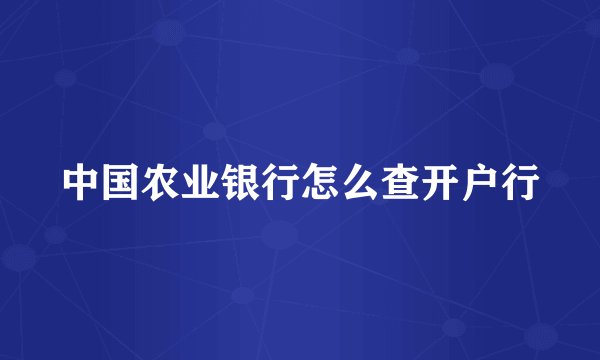 中国农业银行怎么查开户行