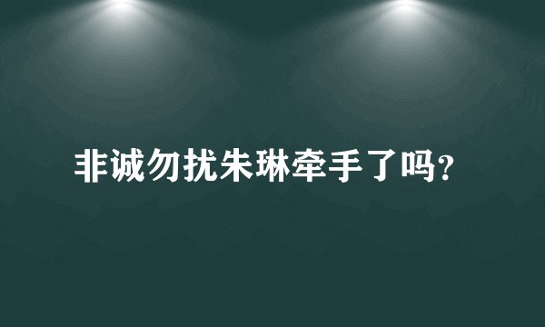 非诚勿扰朱琳牵手了吗？