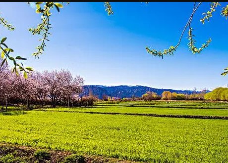 春天的手还会摸到什么?