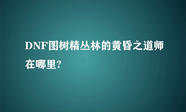 DNF图树精丛林的黄昏之道师在哪里?
