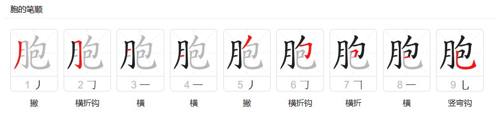 胞的拼音组词部首