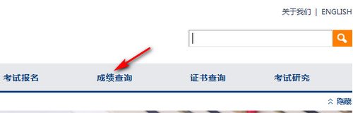 英语三级成绩查询网站，不记得准考证号了，身份证可以查的有？