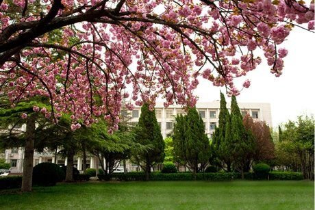 河南科技学院就读体验