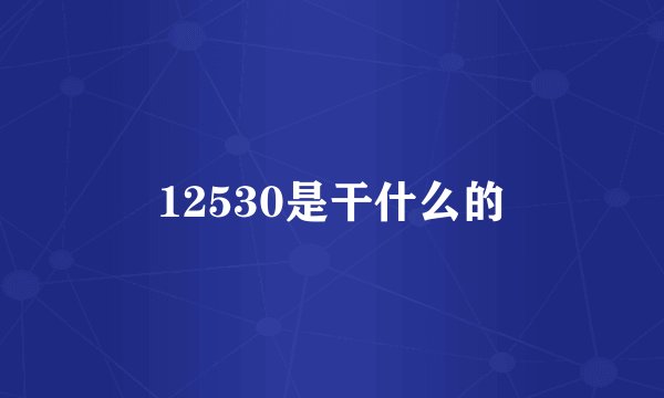 12530是干什么的