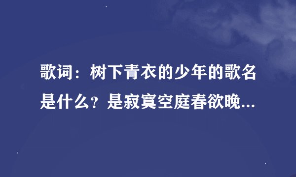 歌词：树下青衣的少年的歌名是什么？是寂寞空庭春欲晚的插曲。