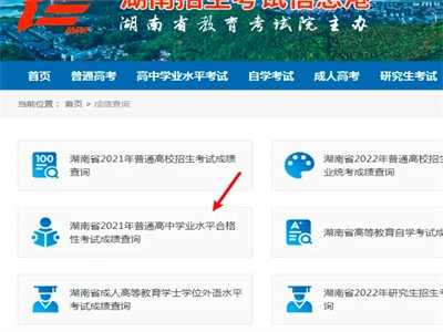 怎样用身份证号查会考考号