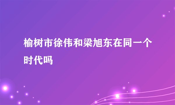 榆树市徐伟和梁旭东在同一个时代吗