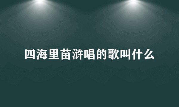 四海里苗浒唱的歌叫什么