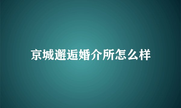 京城邂逅婚介所怎么样