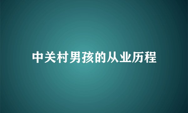 中关村男孩的从业历程