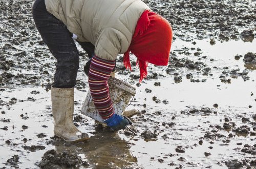 青岛赶海时间表2023年8月