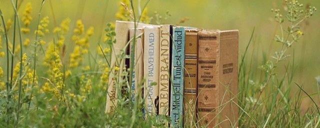 五云老祖的来历